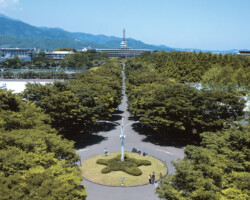 中央通りから1号館を望む