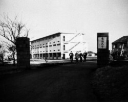 1962年