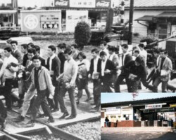 当時、上りホーム(新宿方面)に向かうには駅舎を通ってから線路をわたっていました。現在のような橋上駅舎になるのは、1987年3月9日のことで、同時に駅名も「東海大学前」に変更されました。写真右下は、駅名変更前日の「大根」駅舎です。 大根駅(現 東海大学前駅)